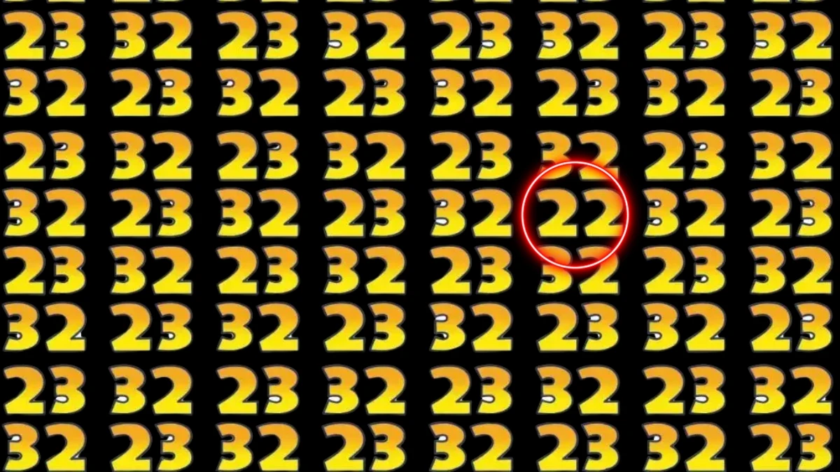 Hidden Number 22 