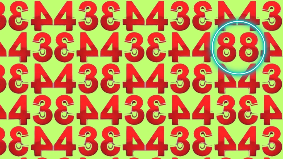 Odd Number 88