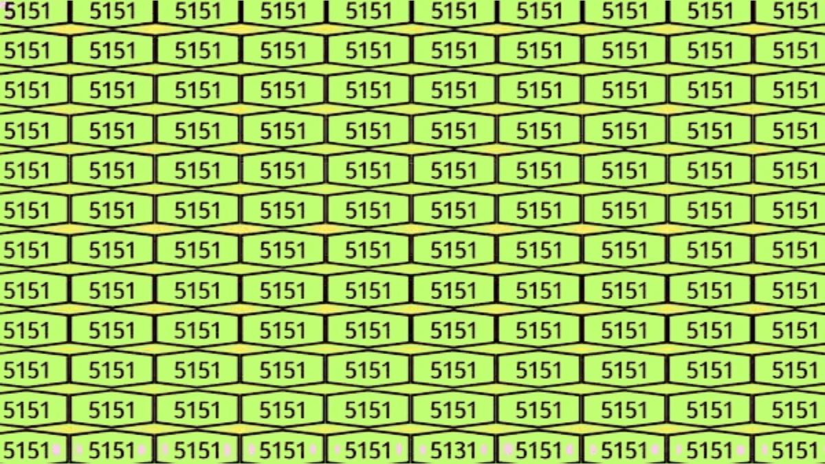 Hidden Number 5131