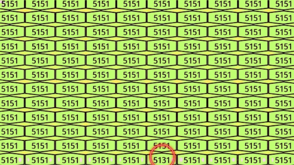 Hidden Number 5131